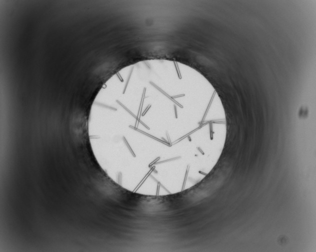 X0000103910624200810311433