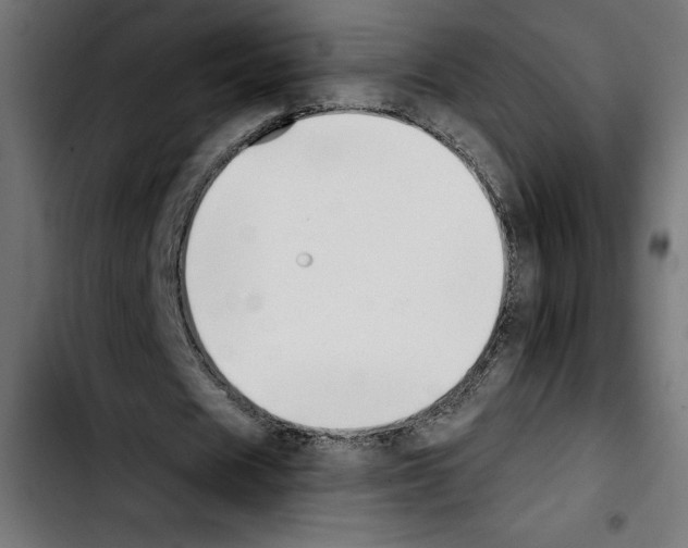 X0000103910625200810311433