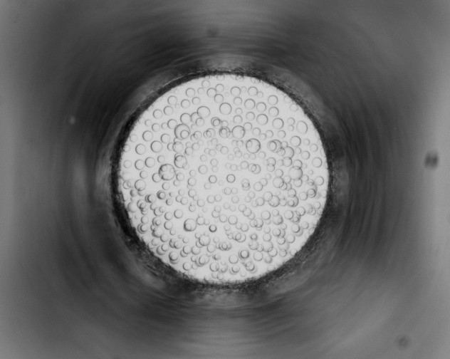 X0000103910626200810311433