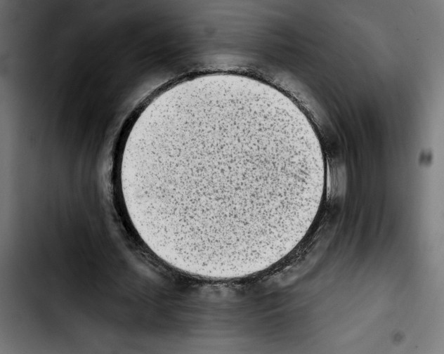 X0000103910627200810311433