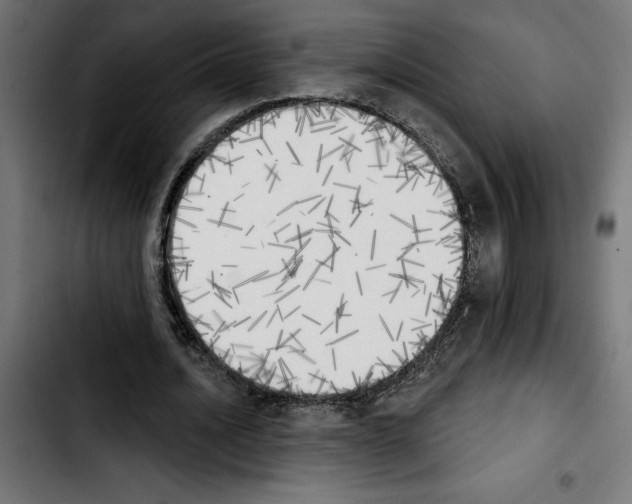 X0000103910628200810311433