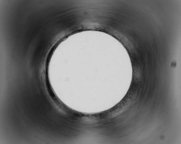 X0000103910630200810311433