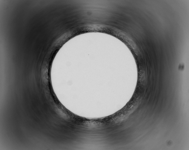 X0000103910633200810311433