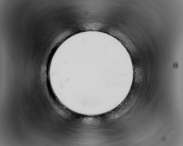 X0000103910634200810311433