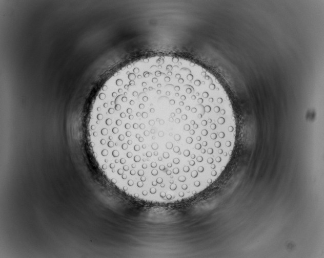 X0000103910635200810311433