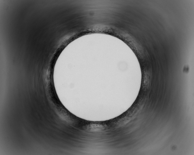 X0000103910636200810311433
