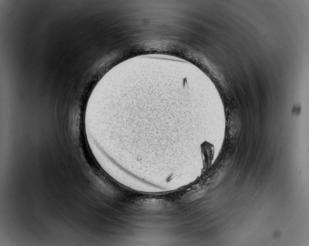 X0000103910637200810311433