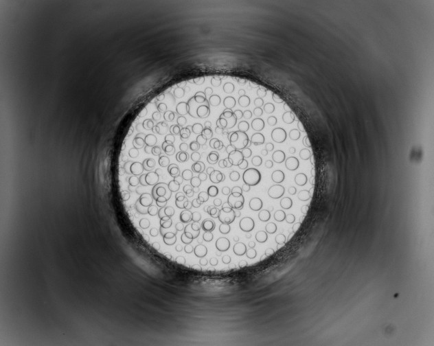 X0000103910638200810311433