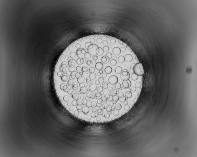 X0000103910639200810311433