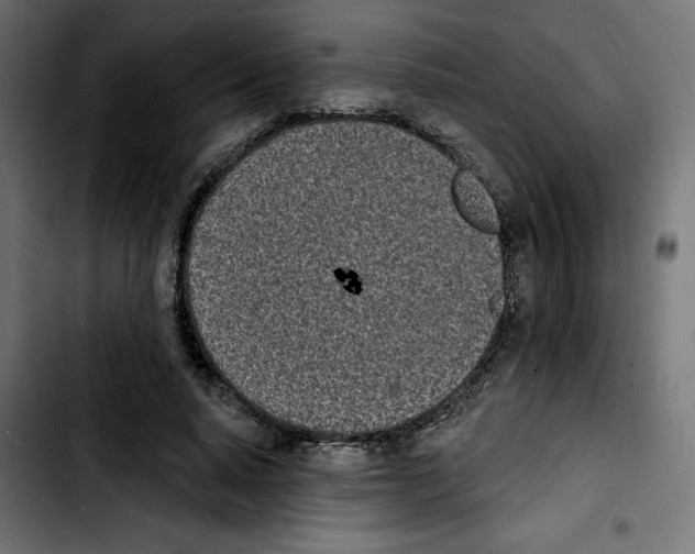 X0000103910640200810311433