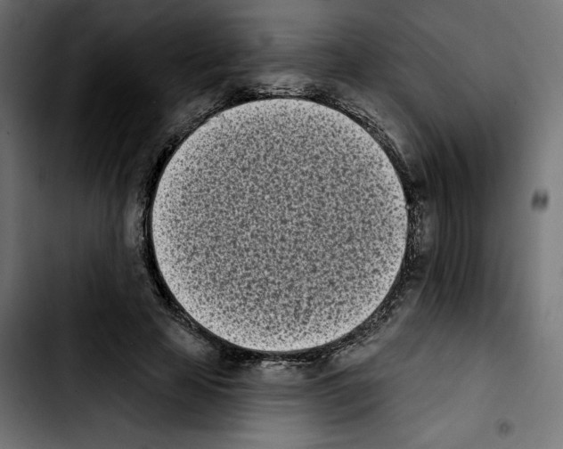 X0000103910641200810311433