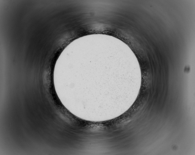 X0000103910642200810311433