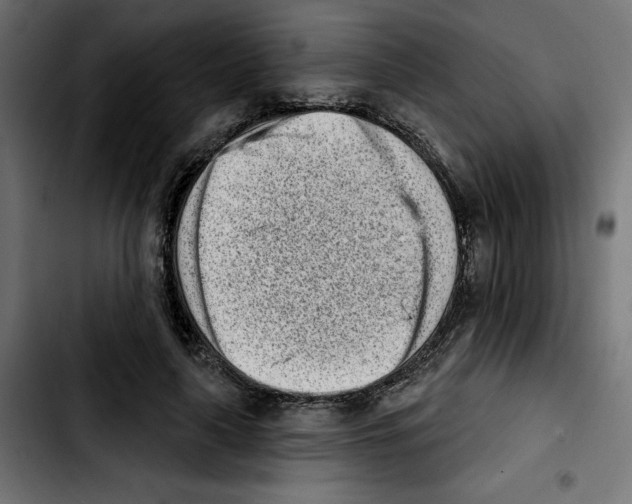 X0000103910643200810311433