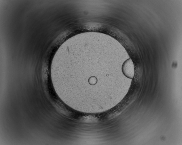 X0000103910644200810311433