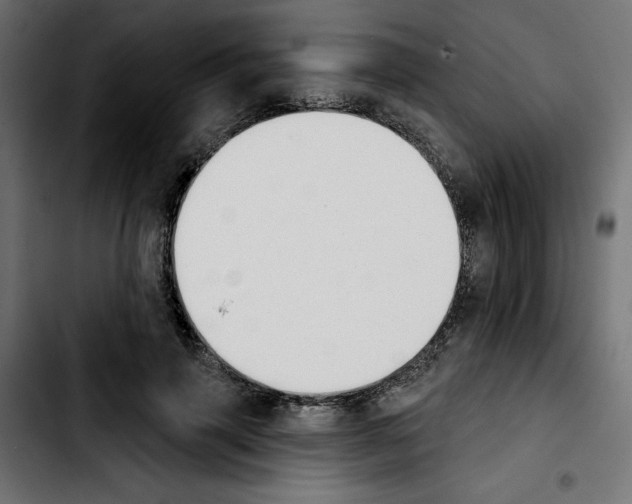 X0000103910645200810311433