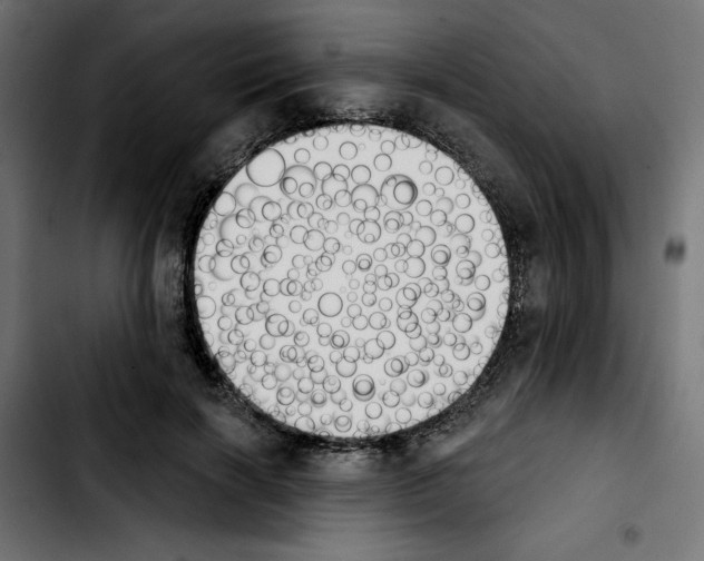 X0000103910646200810311433