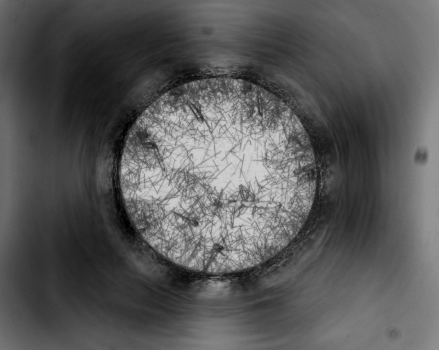 X0000103910647200810311433