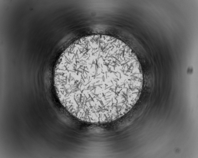 X0000103910648200810311433