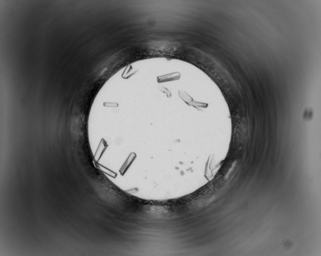 X0000103910649200810311433