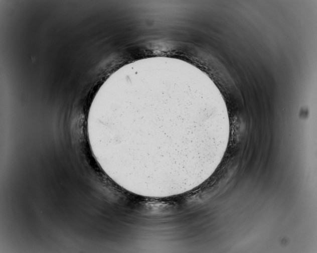 X0000103910650200810311433