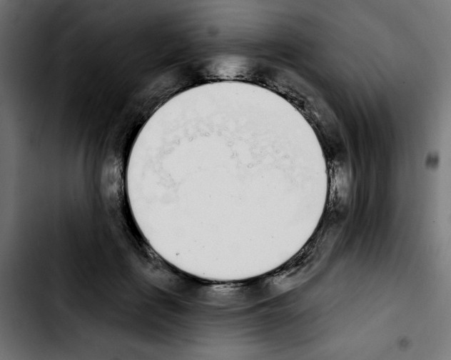 X0000103910651200810311433