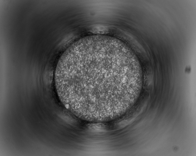 X0000103910652200810311433