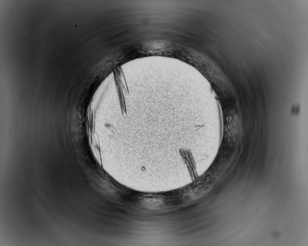 X0000103910653200810311433