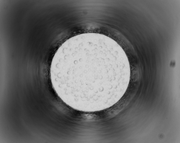 X0000103910654200810311433