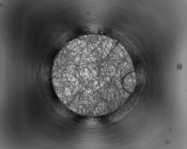X0000103910656200810311433