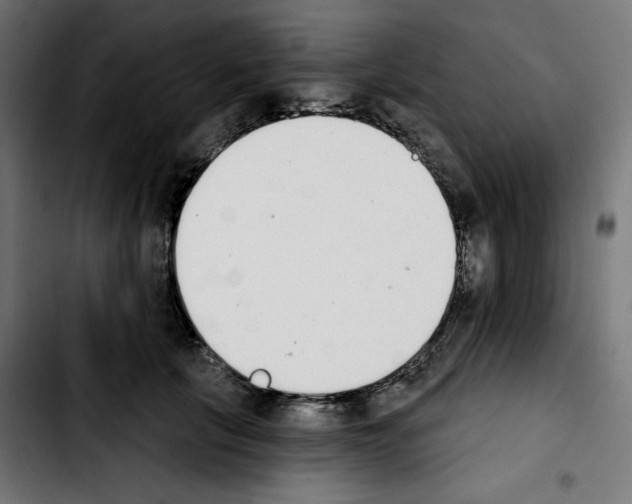 X0000103910657200810311433