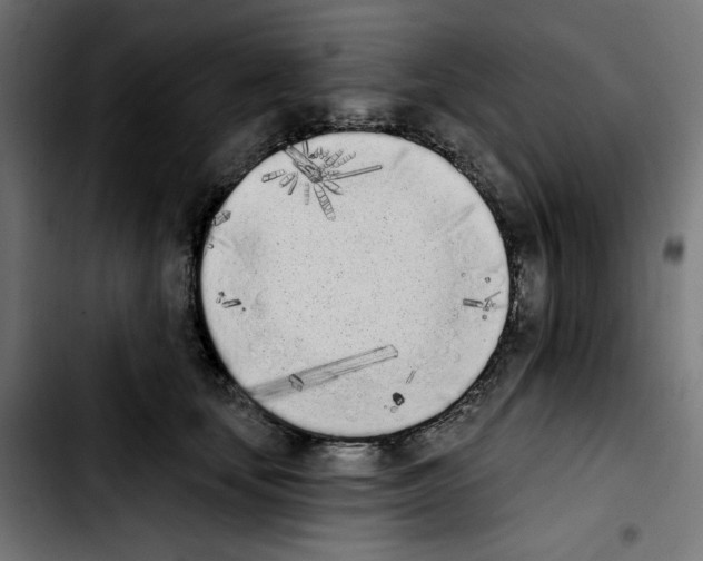 X0000103910659200810311433