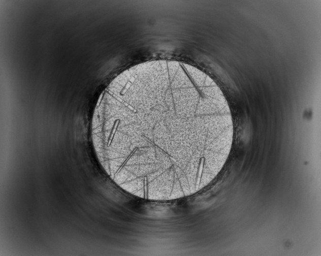 X0000103910661200810311433