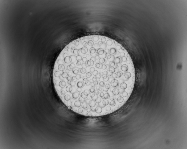 X0000103910662200810311433