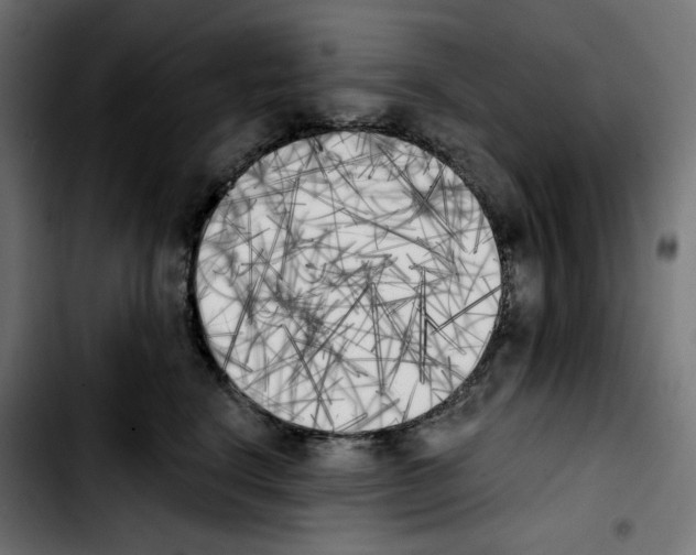 X0000103910664200810311433