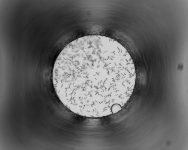X0000103910665200810311433