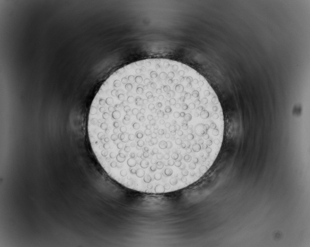 X0000103910666200810311433