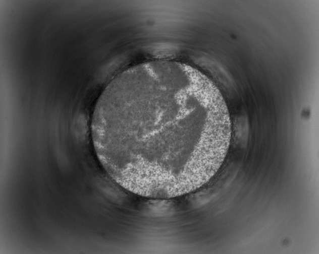 X0000103910667200810311433