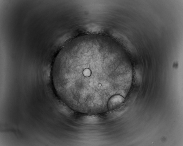 X0000103910668200810311433