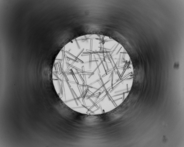 X0000103910669200810311433
