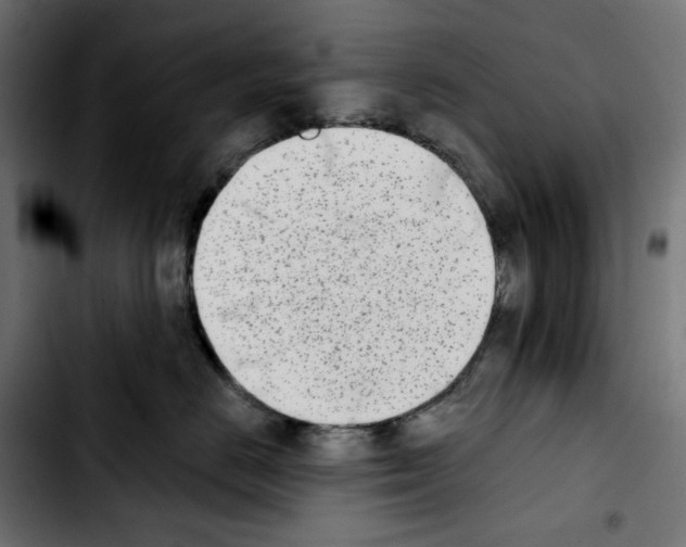 X0000103910670200810311433