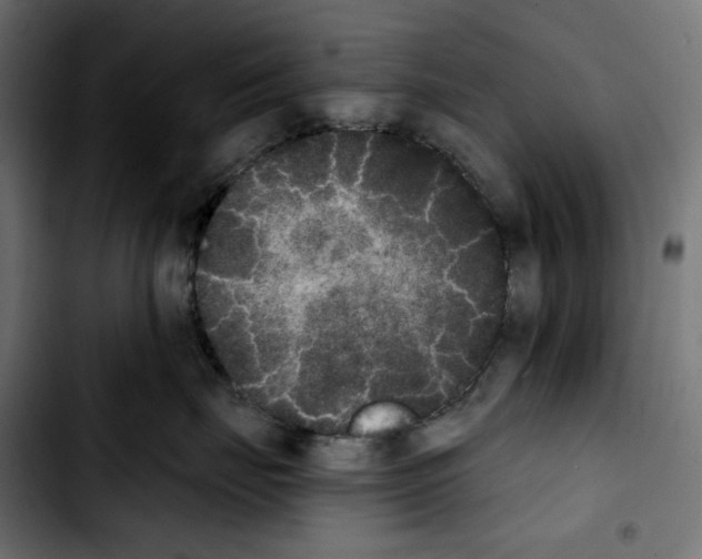 X0000103910671200810311433