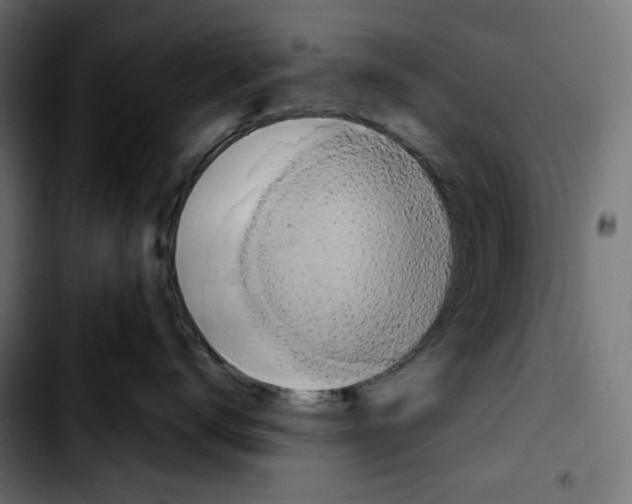 X0000103910672200810311433