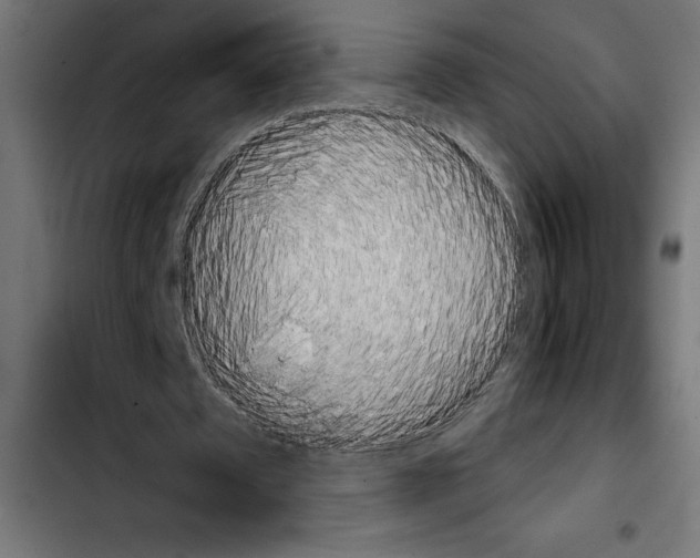 X0000103910673200810311433