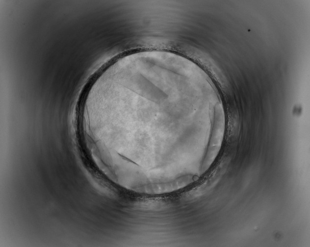 X0000103910674200810311433