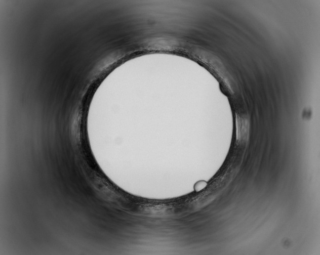 X0000103910675200810311433