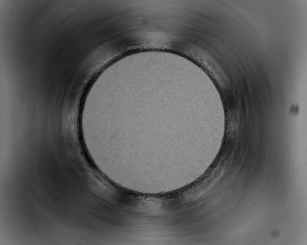 X0000103910677200810311433