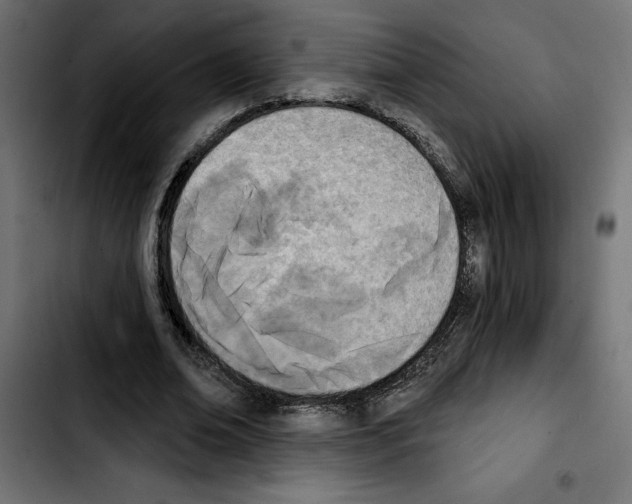 X0000103910678200810311433