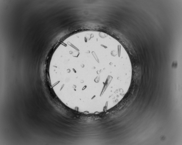 X0000103910679200810311433