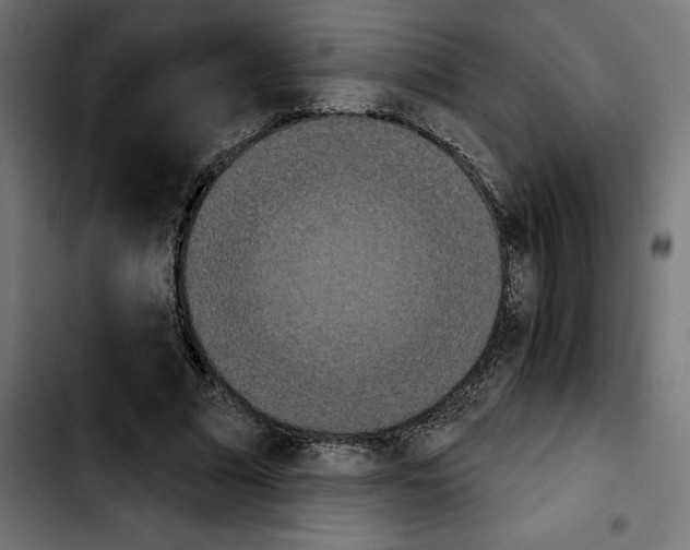 X0000103910681200810311433