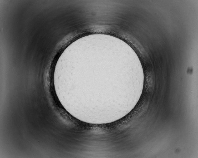 X0000103910682200810311433